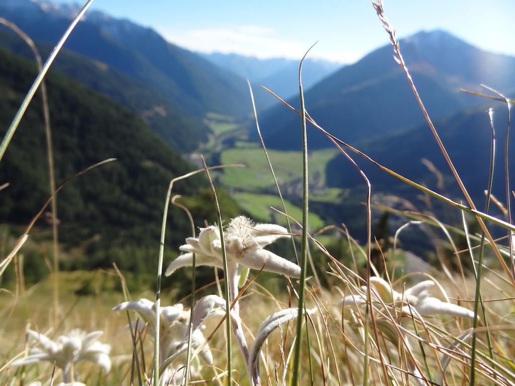 Ferienhaus Meins Kals-am Großglockner Exterior foto